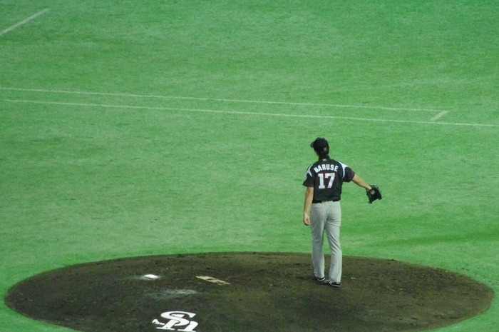 IMGP6748 (1280x850)