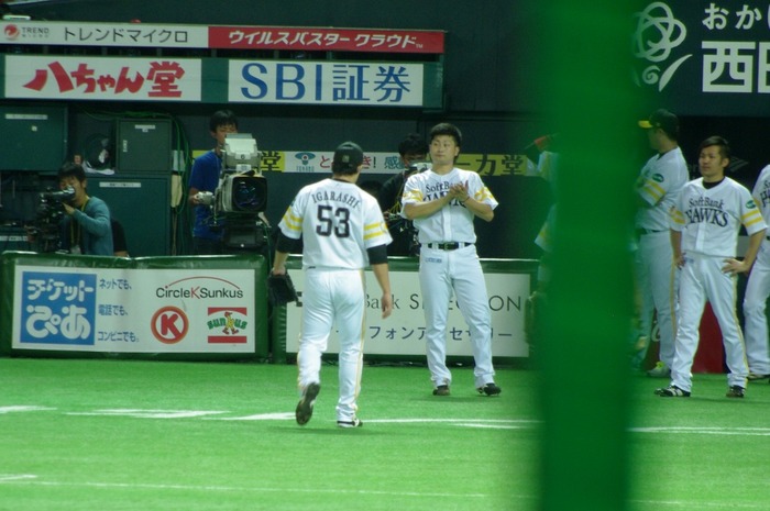 IMGP2935 (1024x680)