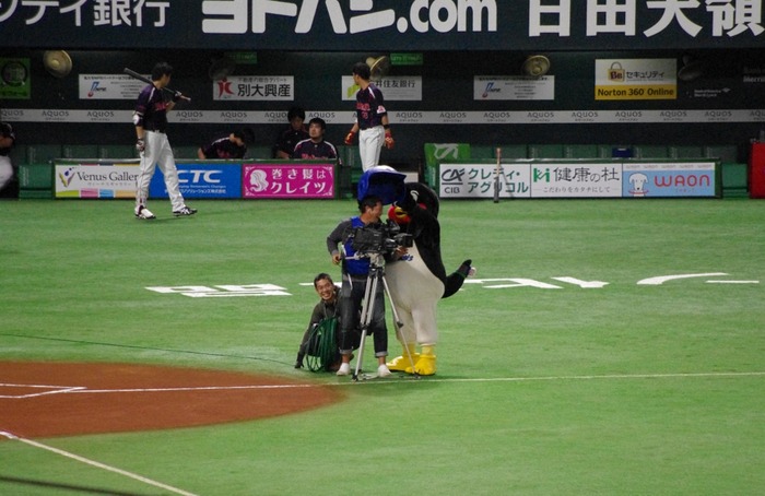 IMGP4783 (1024x664)