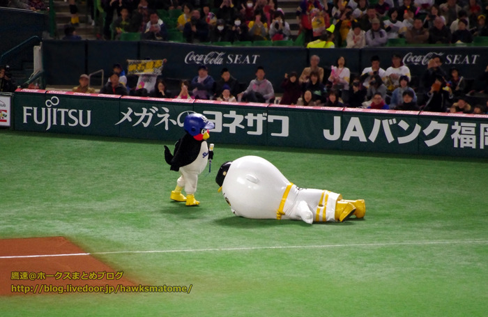 IMGP0350 (1280x832)