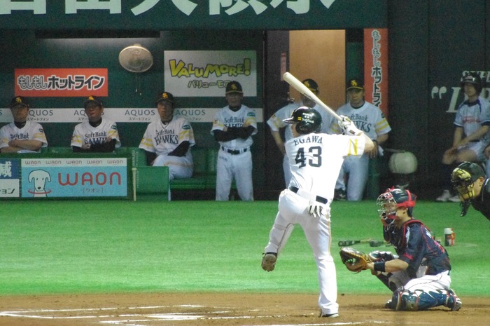 IMGP8219