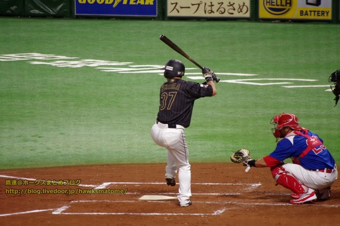 IMGP5912 (1024x680)