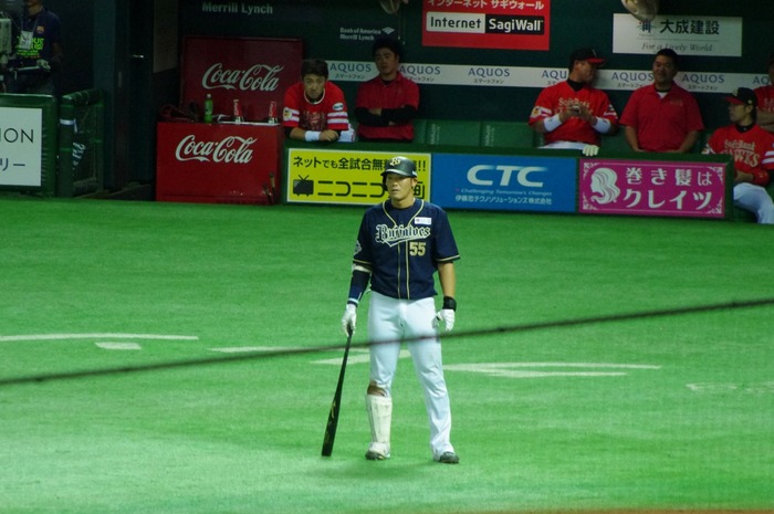 IMGP9313 (1280x850)