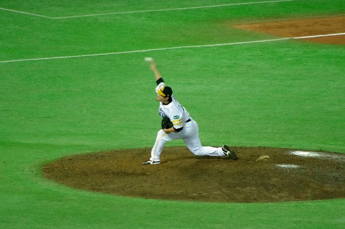 IMGP3703 (1024x680)