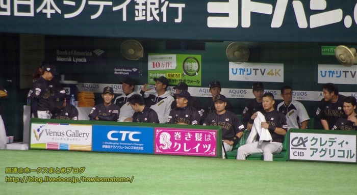 IMGP6027 (1024x560)