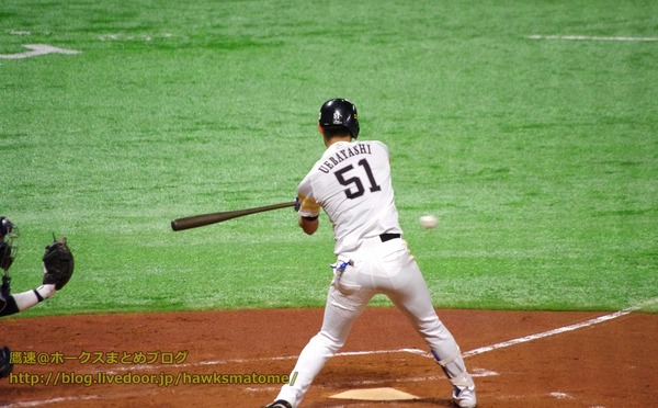 IMGP2013 (1280x794)
