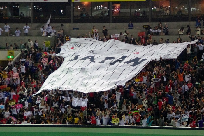 IMGP4668 (1024x680)