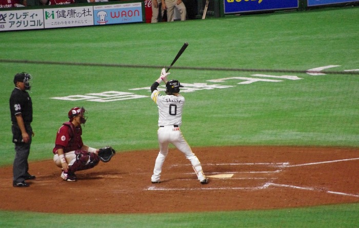 IMGP3456 (1024x650)