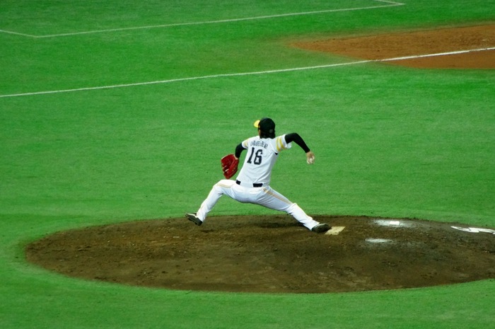 IMGP3536 (1024x680)