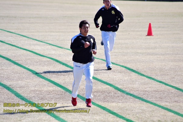 IMGP3683 (1280x850)