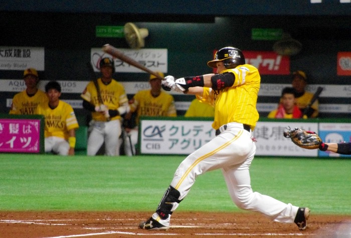 IMGP0891 (1024x693)