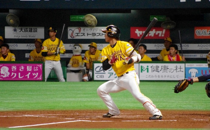 IMGP0923 (1024x634)