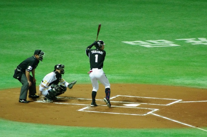 IMGP3368 (1024x680)