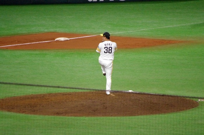 IMGP3395 (1024x680)