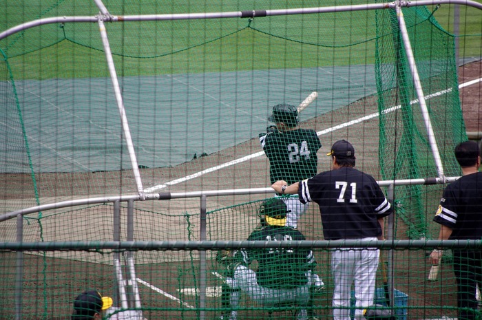 IMGP8472 (1280x850)