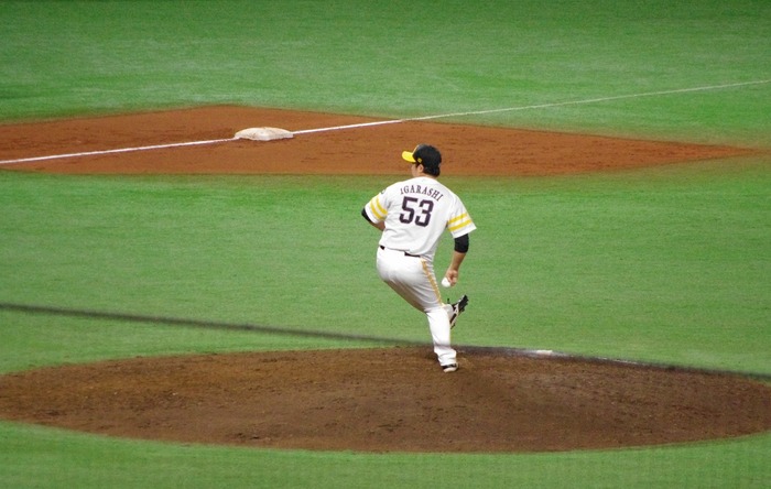 IMGP3448 (1024x650)