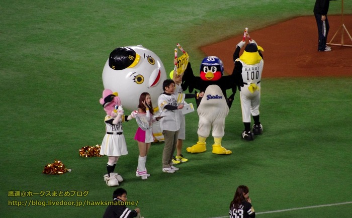 IMGP9853 (1280x793)