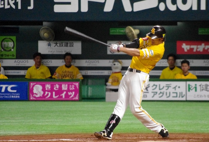 IMGP1215 (1024x695)
