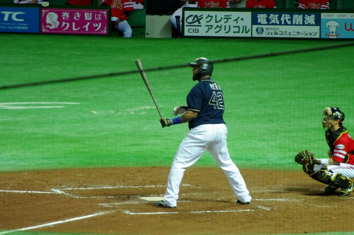 IMGP9318 (1280x850)