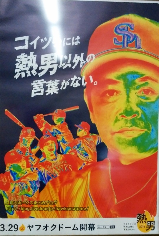 DSC_0029 (540x800)