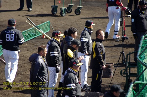 IMGP4155 (1280x850)
