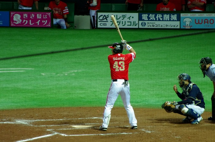 IMGP9548 (1280x850)