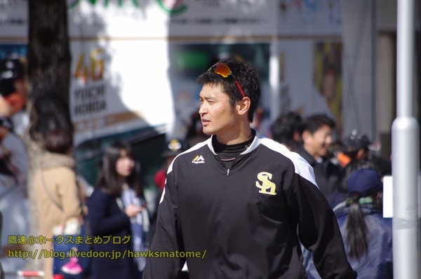 IMGP4086 (1280x850)