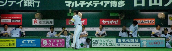 IMGP2594 (1024x308)