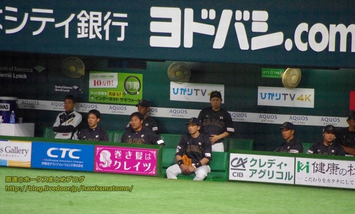IMGP5578 (1024x617)