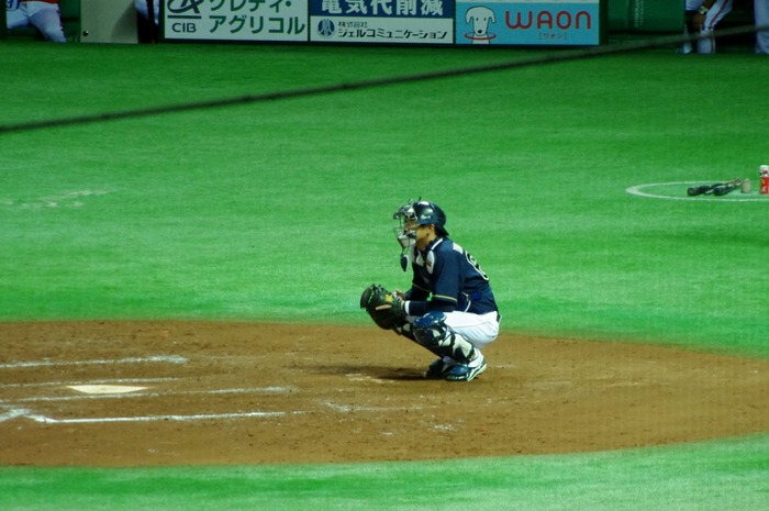 IMGP9561 (1280x850)