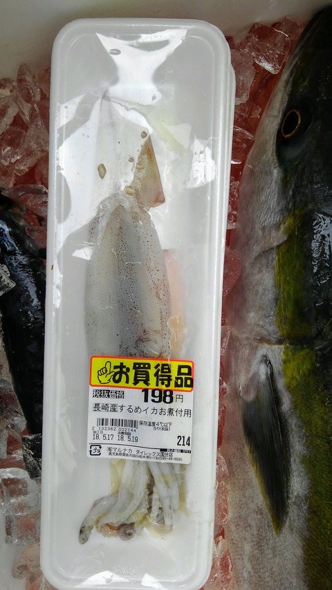 KIMG0695
