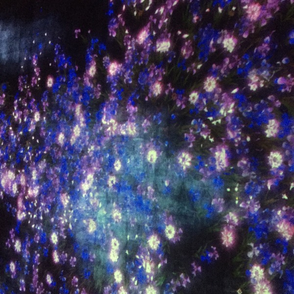 C16E1D65-E6E8-4A95-A975-0C1F67DE6098