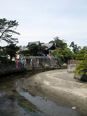IMGP0169