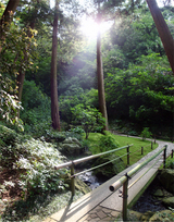 小滝