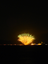 firework05