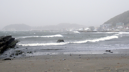 surfers