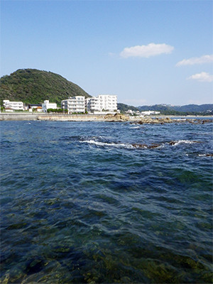 IMGP0095