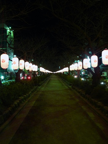 dankatsura