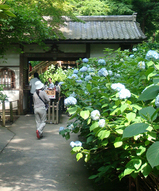入口