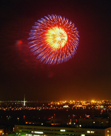 firework06