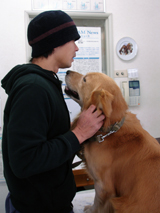 josh