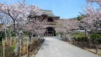 kenchoji