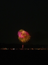 firework01