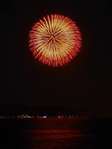 firework08