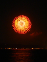 firework11