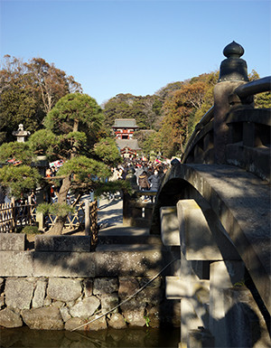 DSC04330-02