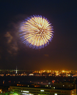 firework05