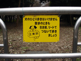 犬の人権