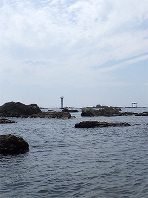 RIMG2939-02