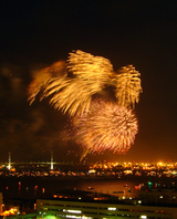 firework04